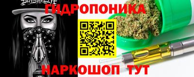 крисы Рузаевка