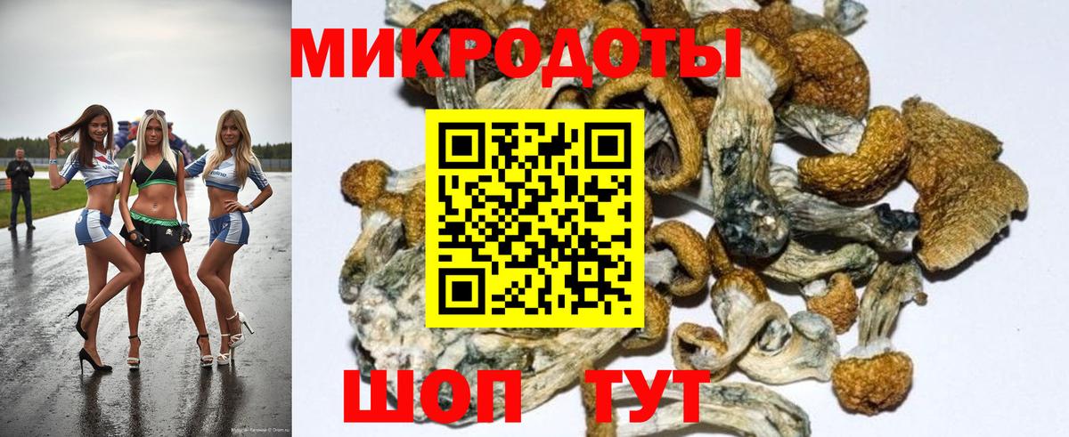 Саратов  Галлюциногенные грибы мицелий  Вход с VPN 